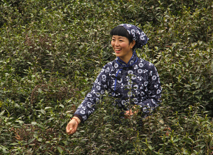 直播软件排行